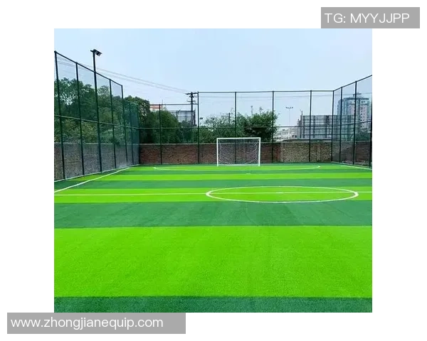 足球场的构造与功能解析以及比赛规则的详细介绍